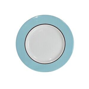 Set Of 4 Pagnossin Treviso 8” Egg Blue & White Ironstone Plates Made In Italy Di